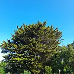 Le Stud' A Pierre D'oleron ! 公寓 奥雷龙圣皮耶尔