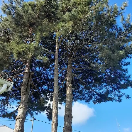 Le Stud' A Pierre D'oleron ! 아파트 *