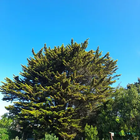 Le Stud' A Pierre D'oleron ! Apartment Saint-Pierre-d'Oleron