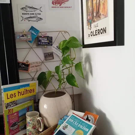 Le Stud' A Pierre D'oleron !