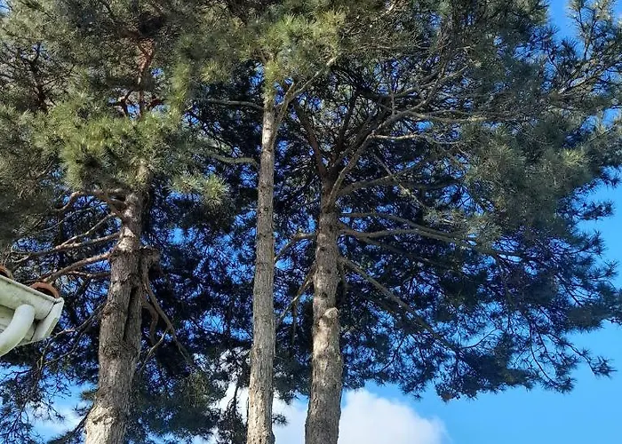 Le Stud' A Pierre D'oleron ! 公寓 *